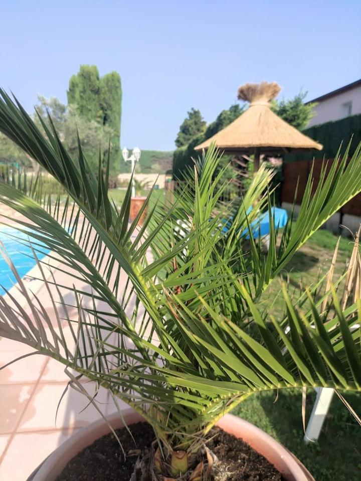 Le Gite De Lolivier En Provence Aramon Exterior foto
