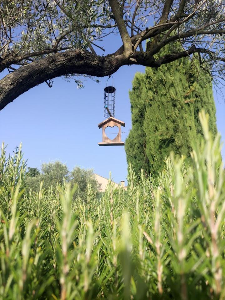 Le Gite De Lolivier En Provence Aramon Exterior foto