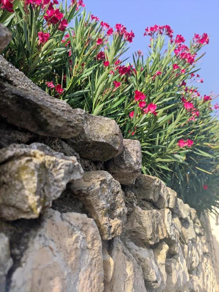 Le Gite De Lolivier En Provence Aramon Exterior foto